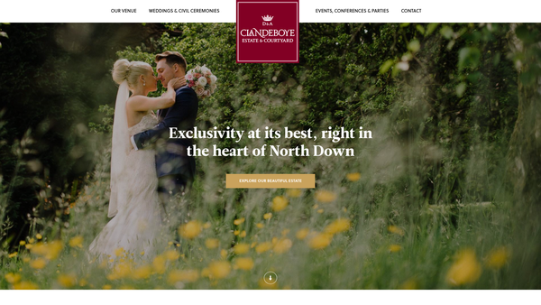 Screenshot of the The Dufferin Foundation website