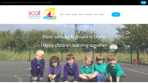 Screenshot of the Naíscoil na Seolta website