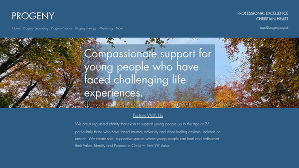 Screenshot of the Progeny Teen Support website
