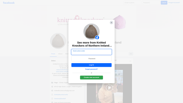 Screenshot of the Knitted Knockers of NI Ltd website