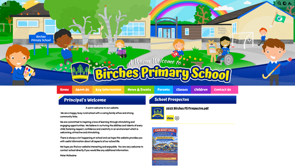 Screenshot of the Birches Primary School PTA website
