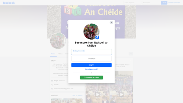 Screenshot of the Naíscoil an Chéide website