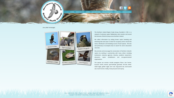 Screenshot of the Northern Ireland Raptor Study Group website