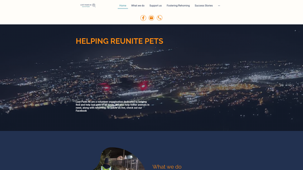 Screenshot of the Lost Paws NI website
