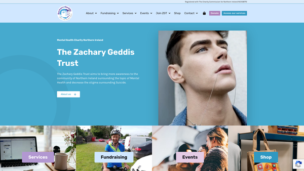 Screenshot of the Zachary Geddis Break the Silence Trust website