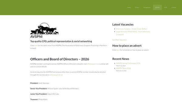 Screenshot of the Avspni website
