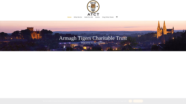 Screenshot of the Armagh Tigers website