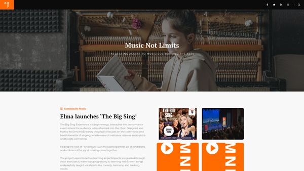 Screenshot of the Music Not Limits website