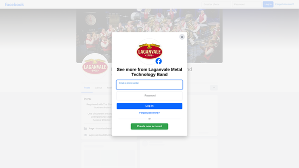 Screenshot of the Laganvale Band website