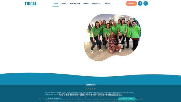 Screenshot of the T1dcat (Type 1 Diabetes Children And Teenagers) website