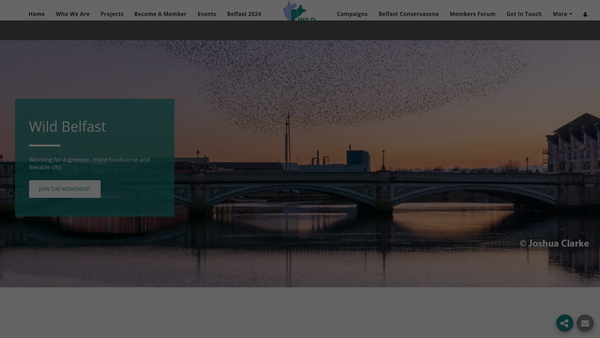 Screenshot of the Wild Belfast website