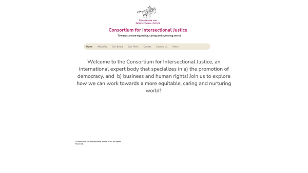 Screenshot of the Consortium for Intersectional Justice website