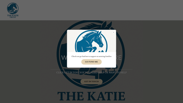 Screenshot of the The Katie Trust Ltd website