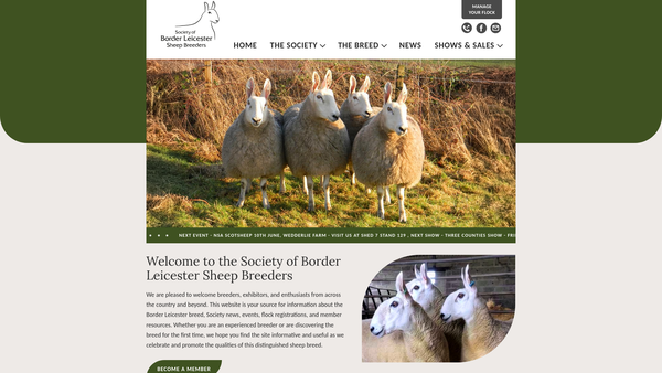Screenshot of the Society Of Border Leicester Sheep Breeders website