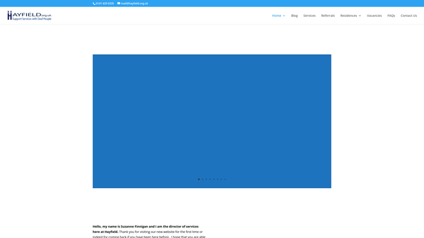 Screenshot of the Hayfield Limited website