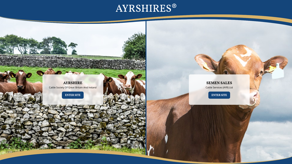 Screenshot of the Ayrshire Cattle Society Of Great Britain & Ireland website