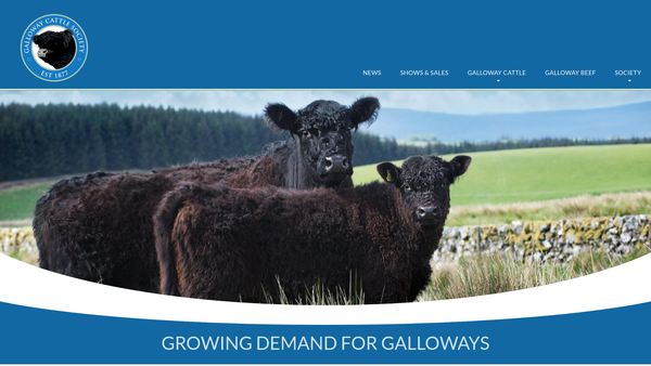 Screenshot of the Galloway Cattle Society of Great Britain and Ireland website