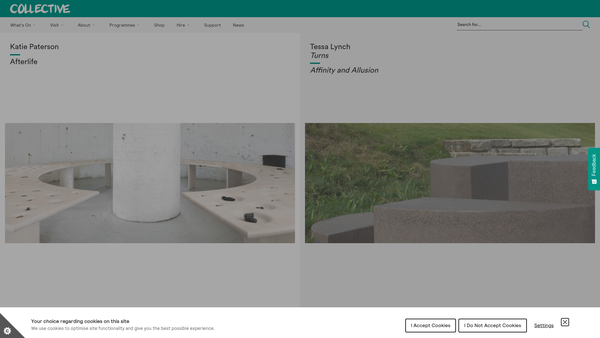 Screenshot of the Artists Collective Gallery Ltd website