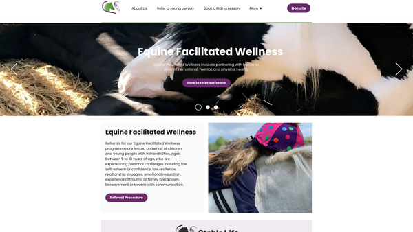 Screenshot of the Stable Life website