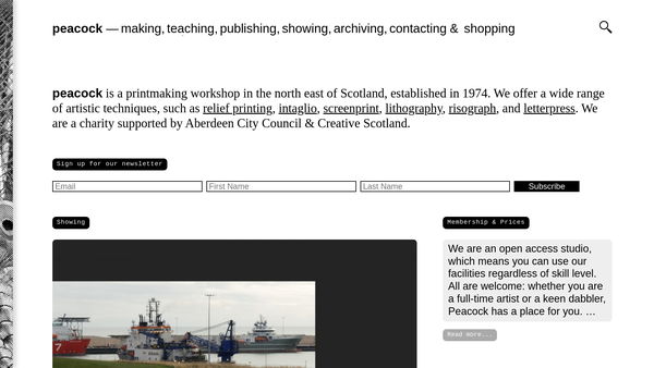 Screenshot of the Peacock Visual Arts Limited website