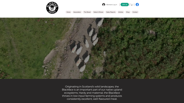 Screenshot of the Blackface Sheep Breeders' Association website