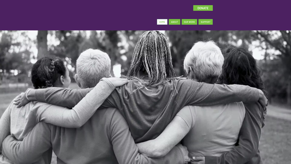 Screenshot of the Women's Support Project website