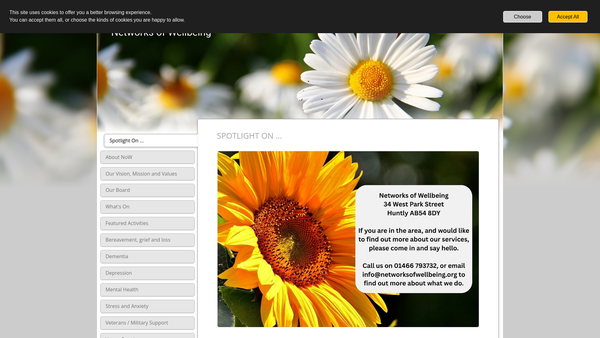 Screenshot of the Networks of Wellbeing Ltd website