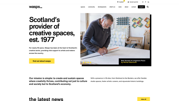Screenshot of the The WASPS Trust website