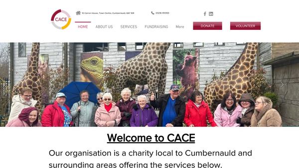 Screenshot of the Cumbernauld Action On Care Of The Elderly website