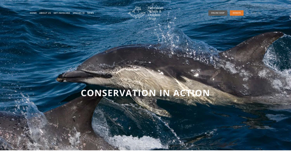 Screenshot of the Hebridean Whale And Dolphin Trust Ltd website