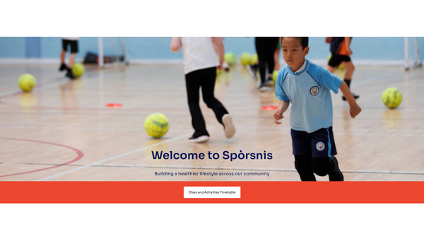 Screenshot of the Ness Sports & Recreation Association website