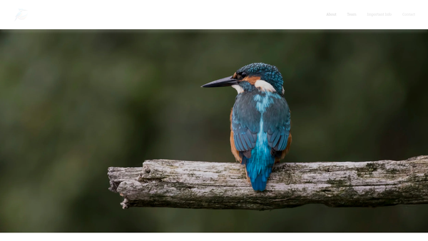 Screenshot of the Kingfisher Club website
