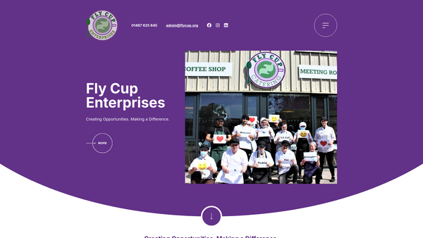 Screenshot of the Fly Cup Enterprises Limited website