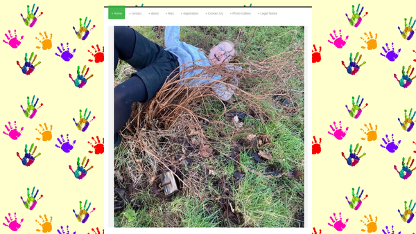 Screenshot of the Peelers After School And Holiday Club Limited website
