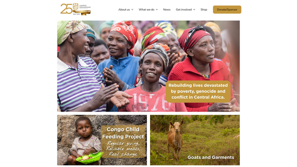 Screenshot of the Comfort International website