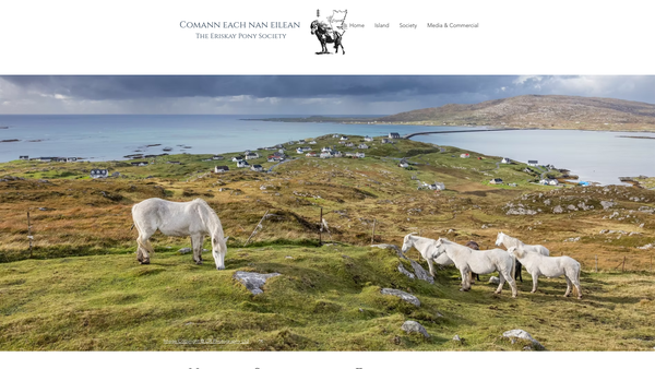Screenshot of the The Eriskay Pony(Purebred) Studbook Society- Comann Each nan Eilean Ltd website