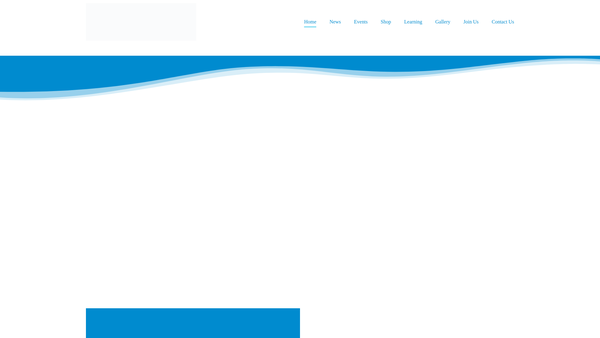 Screenshot of the St Ronans Silver Band website