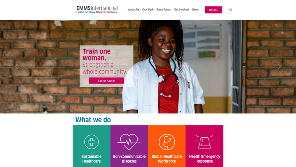 Screenshot of the Emms International website