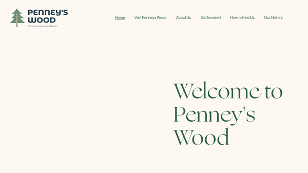 Screenshot of the Fossoway Access And Amenity Project Group website