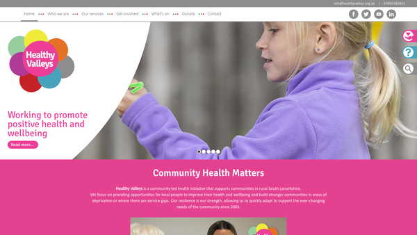 Screenshot of the Healthy Valleys website