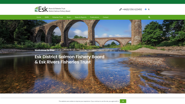 Screenshot of the The Esks Rivers & Fisheries Trust website