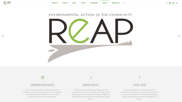 Screenshot of the Reap website