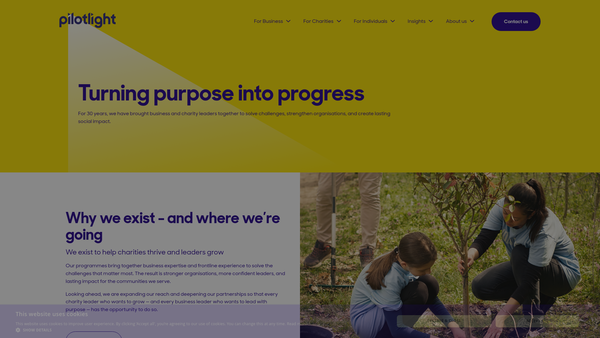 Screenshot of the Pilotlight website