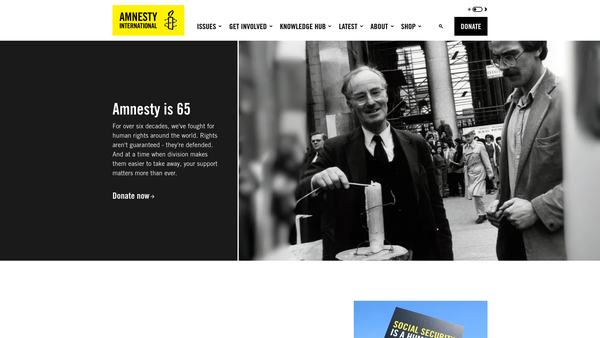 Screenshot of the Amnesty International UK Section Charitable Trust website