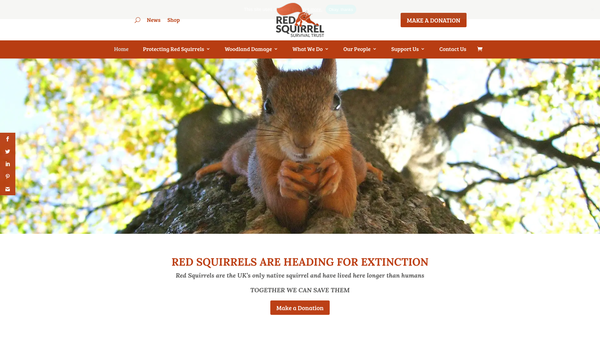 Screenshot of the Red Squirrel Survival Trust Limited website