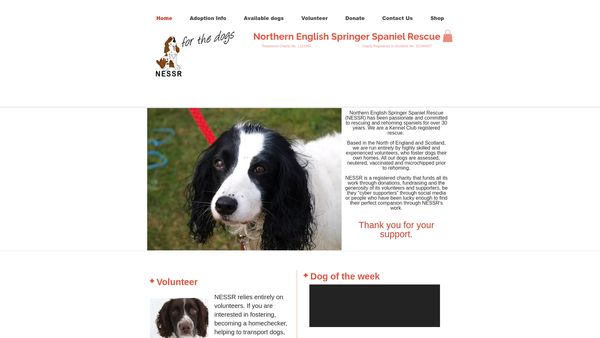 Screenshot of the Northern English Springer Spaniel Rescue website