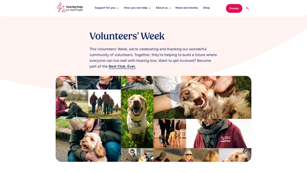 Screenshot of the Hearing Dogs for Deaf People website