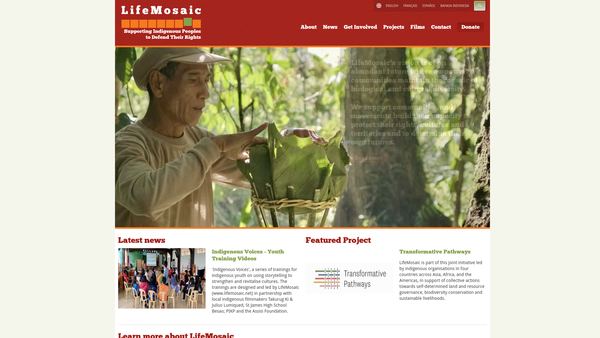 Screenshot of the LifeMosaic website