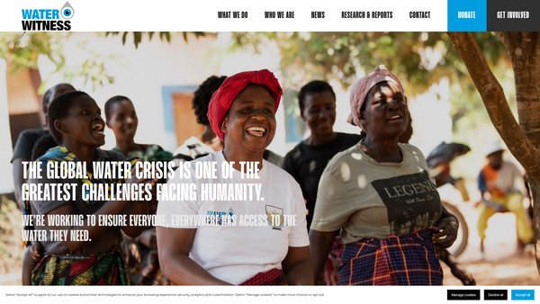 Screenshot of the Water Witness international website