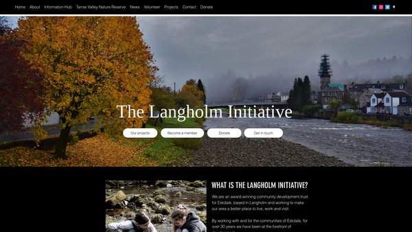 Screenshot of the The Langholm Initiative website